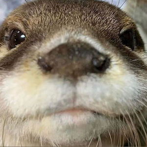 Meet your Posher, Gerardo